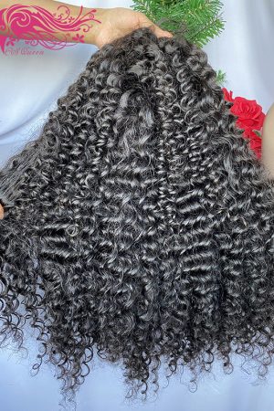 Raw hair Burmese Curly 4*4 HD Lace Closure Wig 180% Density
